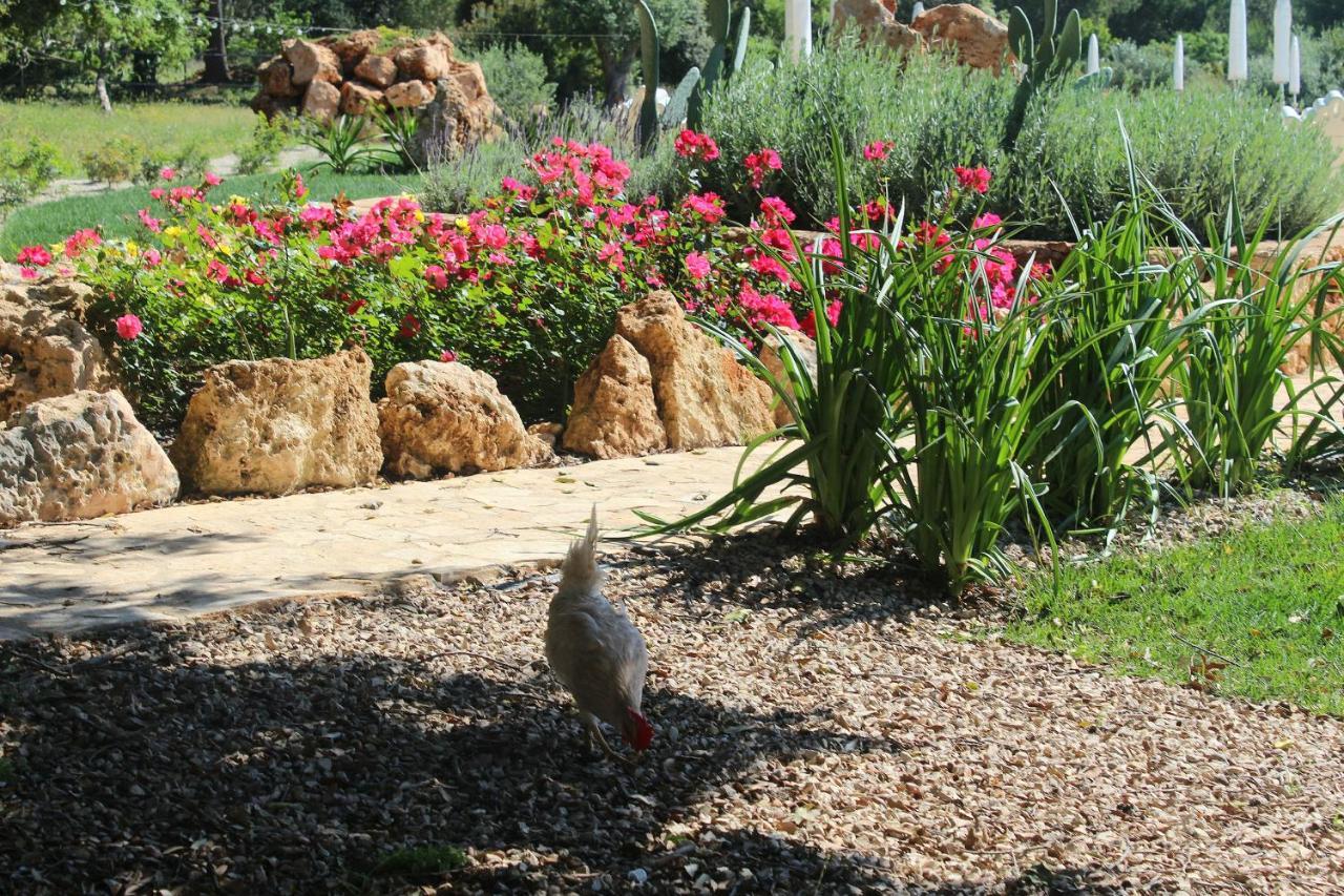 Tenuta Ferraro Gallipoli Luaran gambar