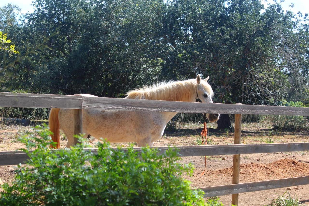 Tenuta Ferraro Gallipoli Luaran gambar