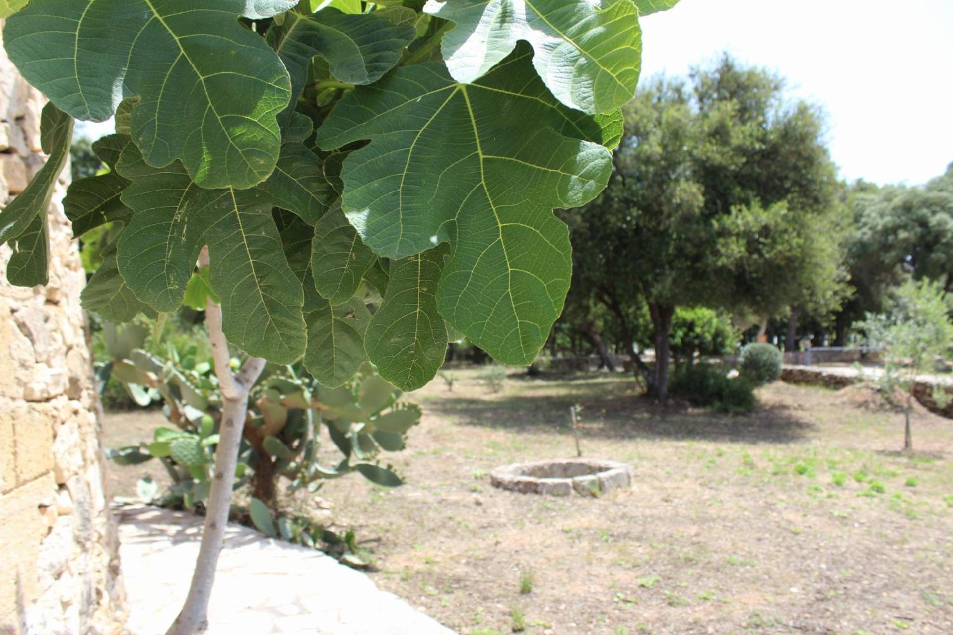 Tenuta Ferraro Gallipoli Luaran gambar