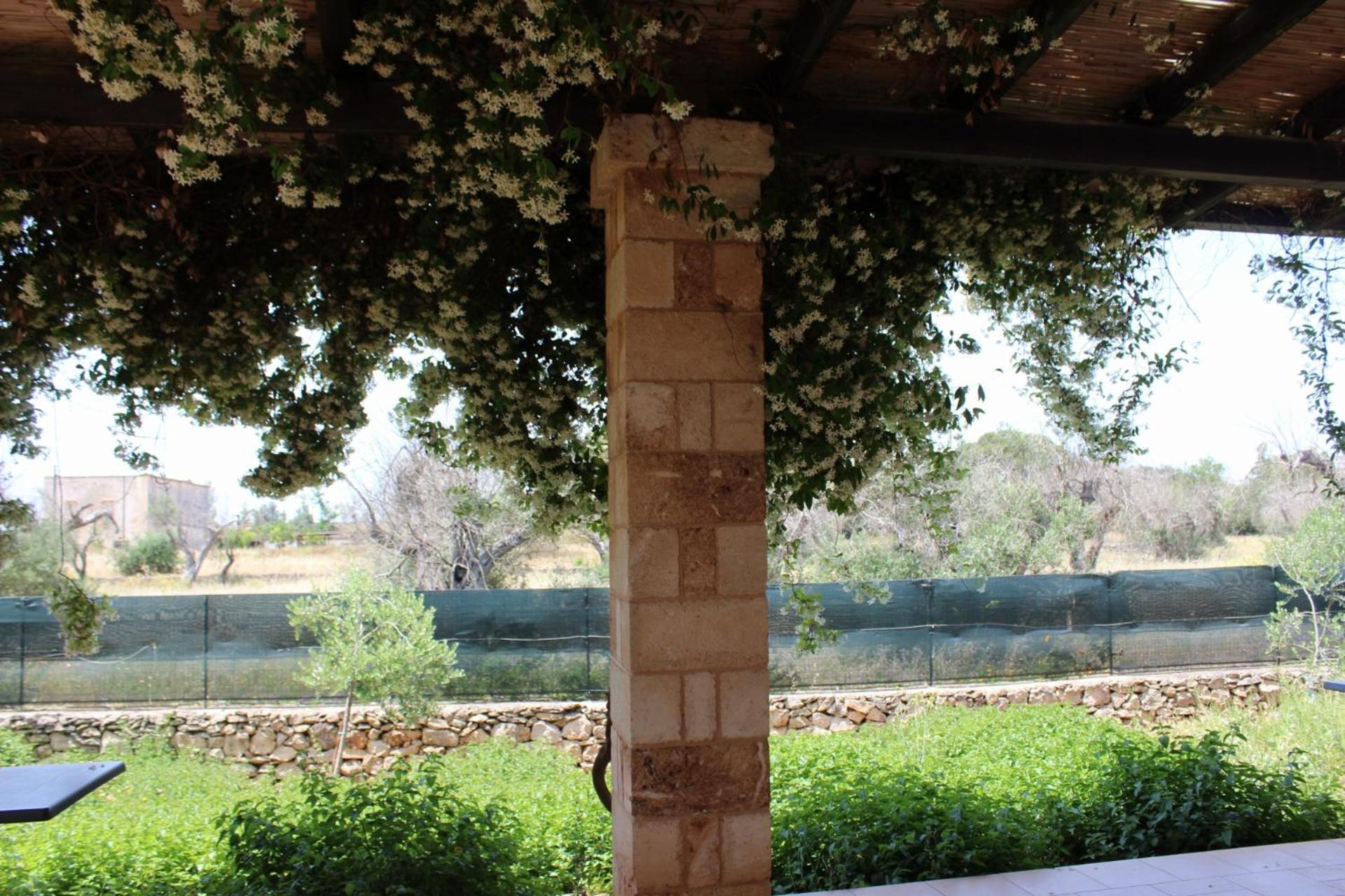 Tenuta Ferraro Gallipoli Luaran gambar
